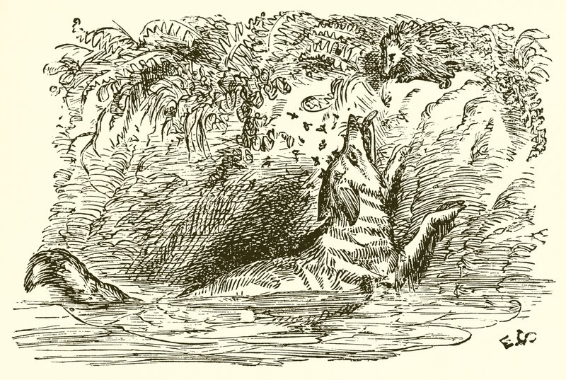 A raposa e o ouriço de Ernest Henry Griset