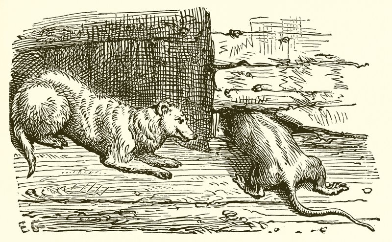 O rato e a doninha de Ernest Henry Griset