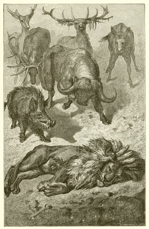 O velho leão de Ernest Henry Griset