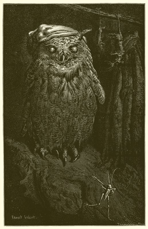 A coruja e o gafanhoto de Ernest Henry Griset