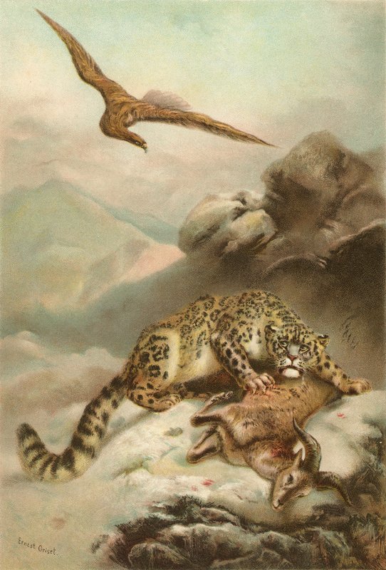 O Leopardo da Neve e a Águia de Ernest Henry Griset