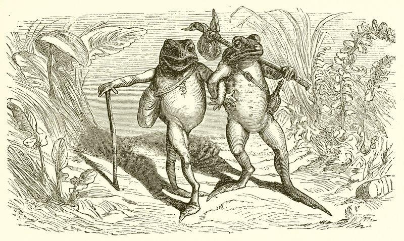 Os dois sapos de Ernest Henry Griset