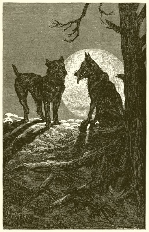 O lobo e o mastim de Ernest Henry Griset