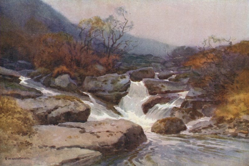Um Dartmoor Stream (cor litho) de Ernest William Haslehust
