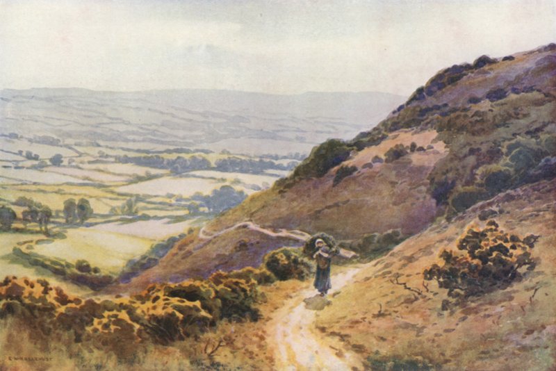 Ballard Down, Swanage (membros da cor) de Ernest William Haslehust