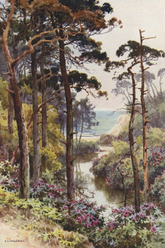 Branksome Chine, Bournemouth (cor litho) de Ernest William Haslehust