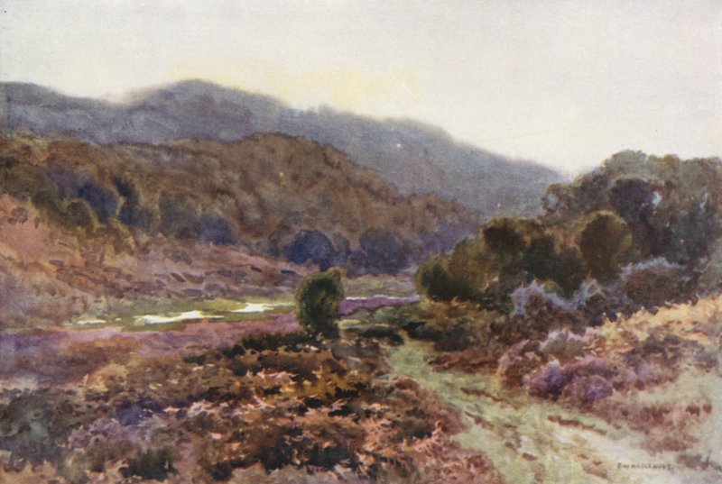 Por Broomy Water (cor litho) de Ernest William Haslehust