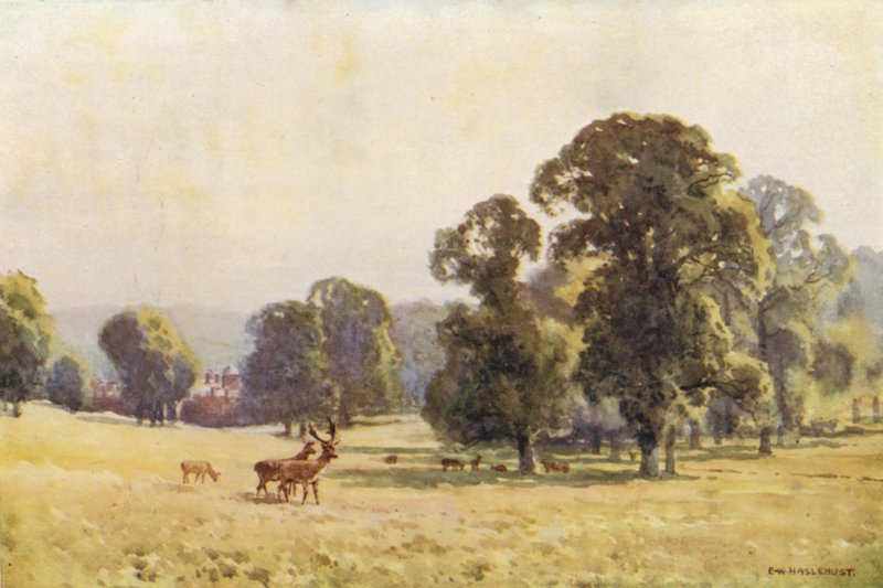 Cobham Park (cor litho) de Ernest William Haslehust