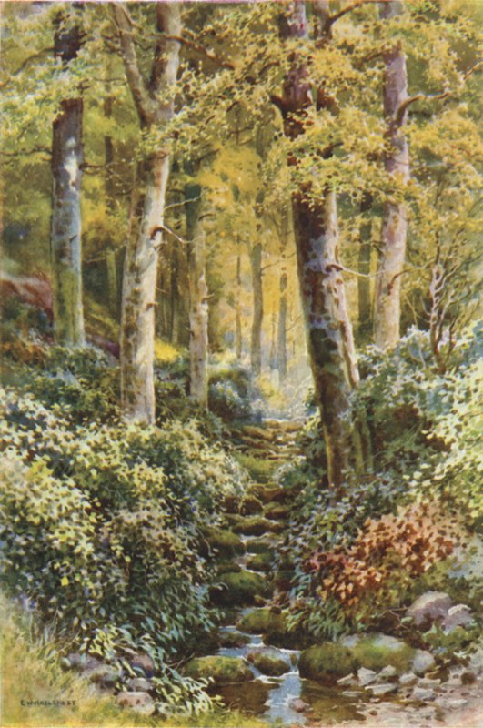 Fairlight Glen (lito colorido) de Ernest William Haslehust
