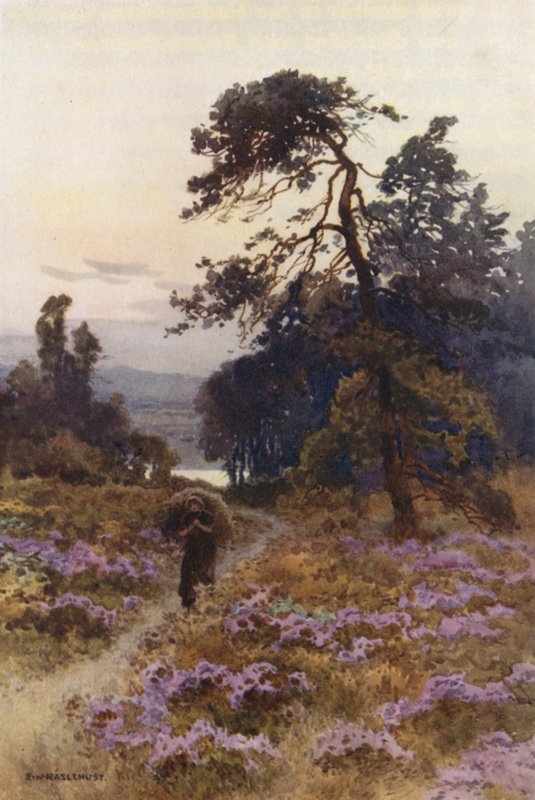 Harlow Moor, Harrogate (cor litho) de Ernest William Haslehust