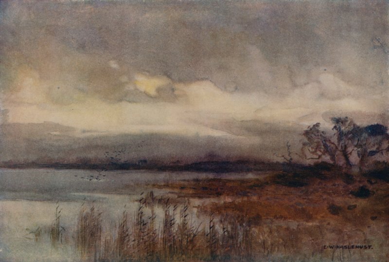 Hickling Broad (cor litho) de Ernest William Haslehust