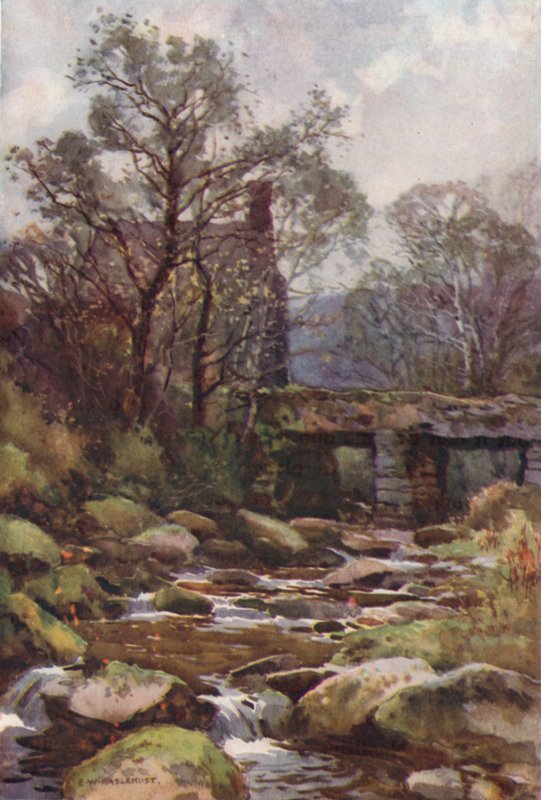 Ockery Bridge, perto de Princetown (cor litho) de Ernest William Haslehust