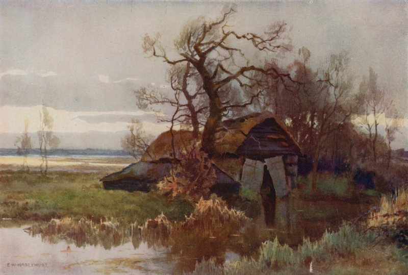 Casas de Barcos Antigos, Barton Broad (cor litho) de Ernest William Haslehust