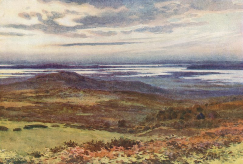 Poole de Swanage Golf Links (membros da cor) de Ernest William Haslehust
