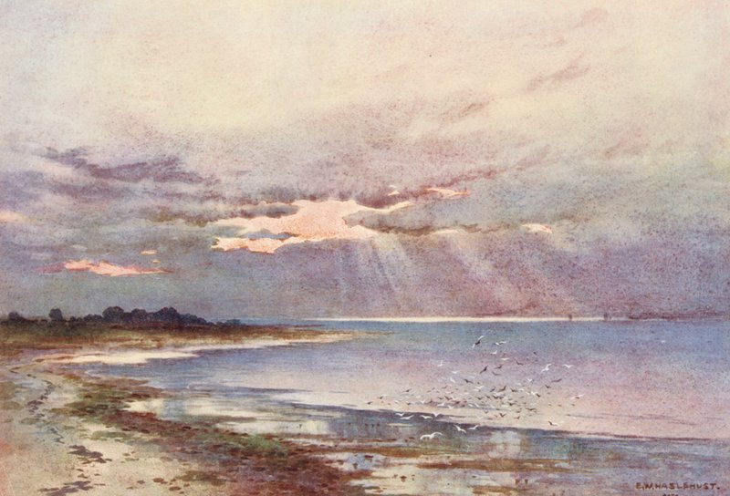 Rio Tamisa: Looking Southward to the Nore (litografia a cores) de Ernest William Haslehust
