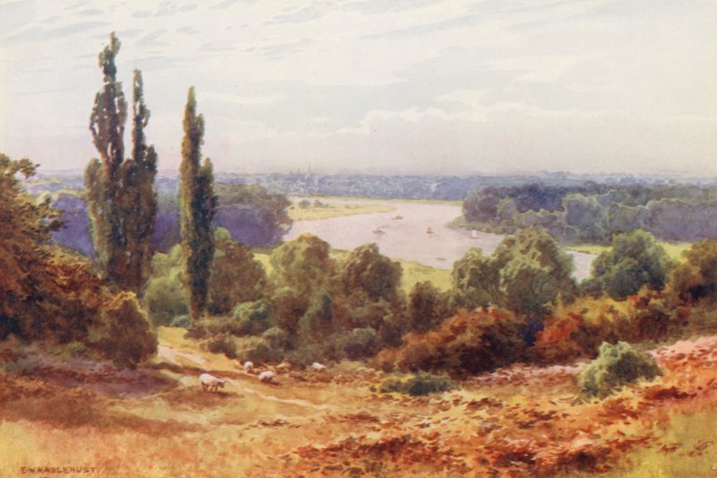 Rio Tamisa: O Tamisa, de Richmond Hill (litografia a cores) de Ernest William Haslehust