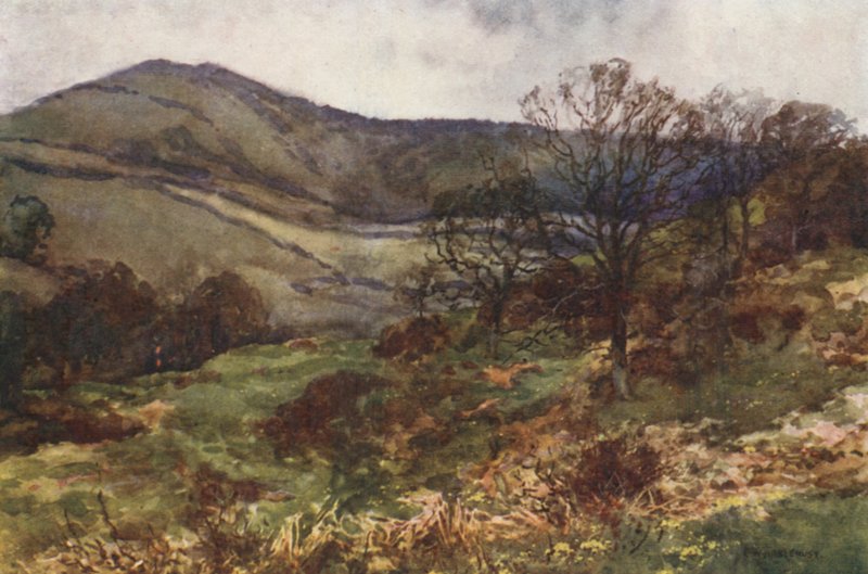 Shanklin Down, início da primavera (lito colorido) de Ernest William Haslehust