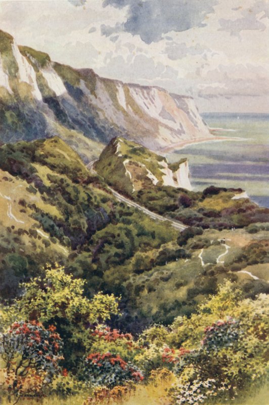 O Warren, Folkestone (lito colorido) de Ernest William Haslehust