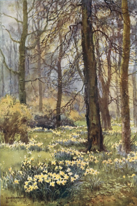 O deserto na primavera (lito colorido) de Ernest William Haslehust