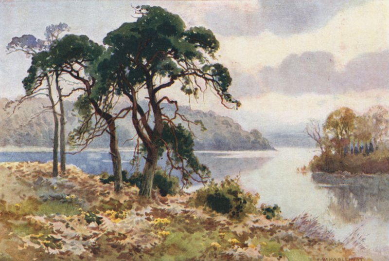 Água da Virgínia (cor litho) de Ernest William Haslehust