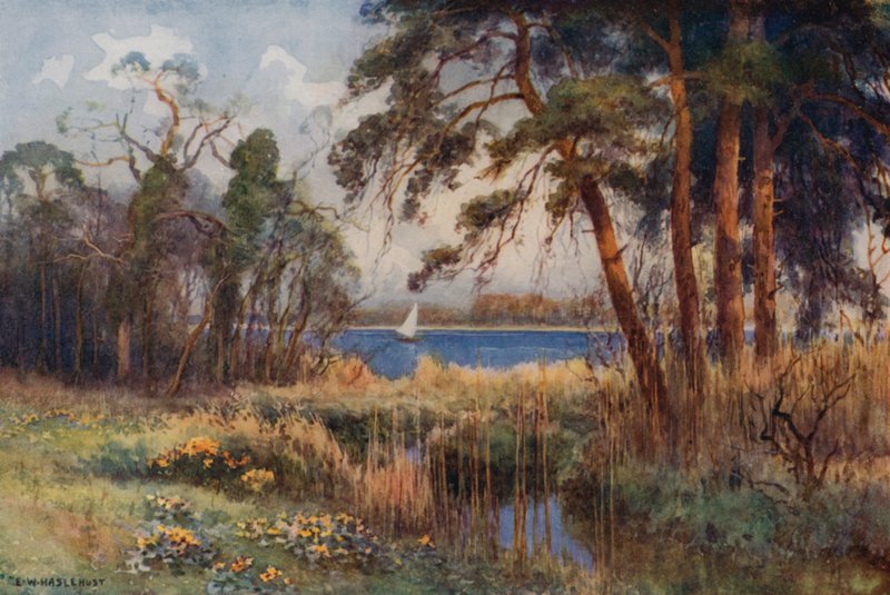 Wroxham Broad, início da primavera (lito colorido) de Ernest William Haslehust