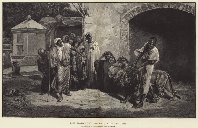 O Marabuto Leão Sagrado, gravura de Argel de Eugene Pavy