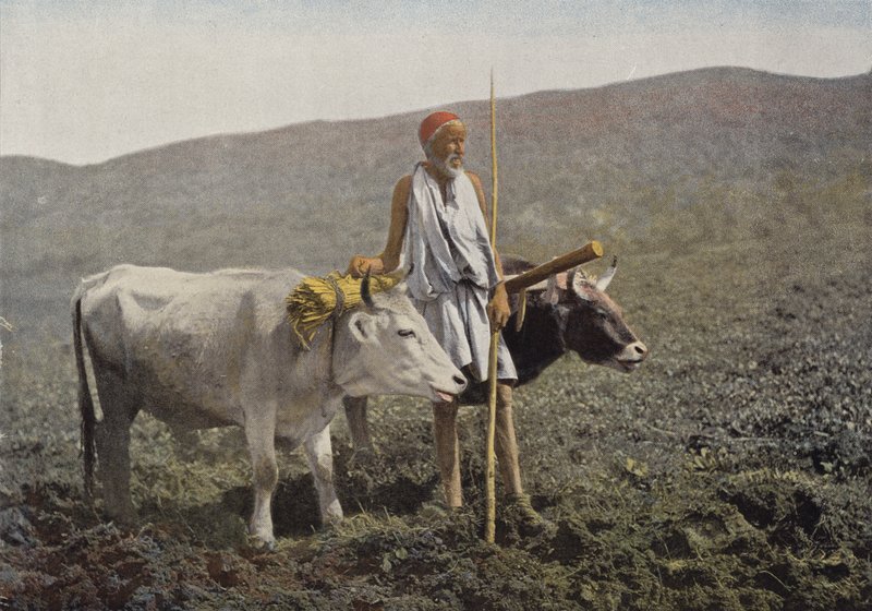 Acoplamento Kabyle de European Photographer