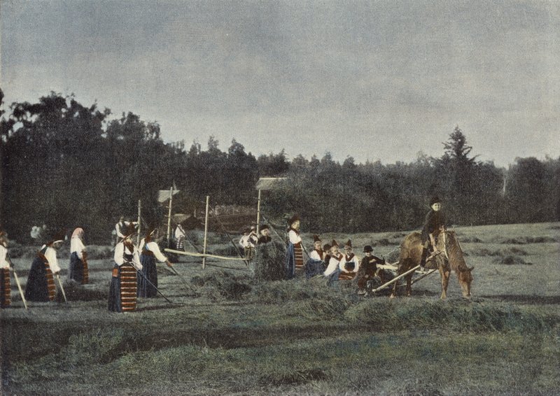 A Taça De Feno Em Dalarna, Suécia de European Photographer