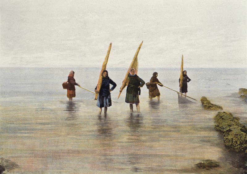 Pesca de camarão de European Photographer