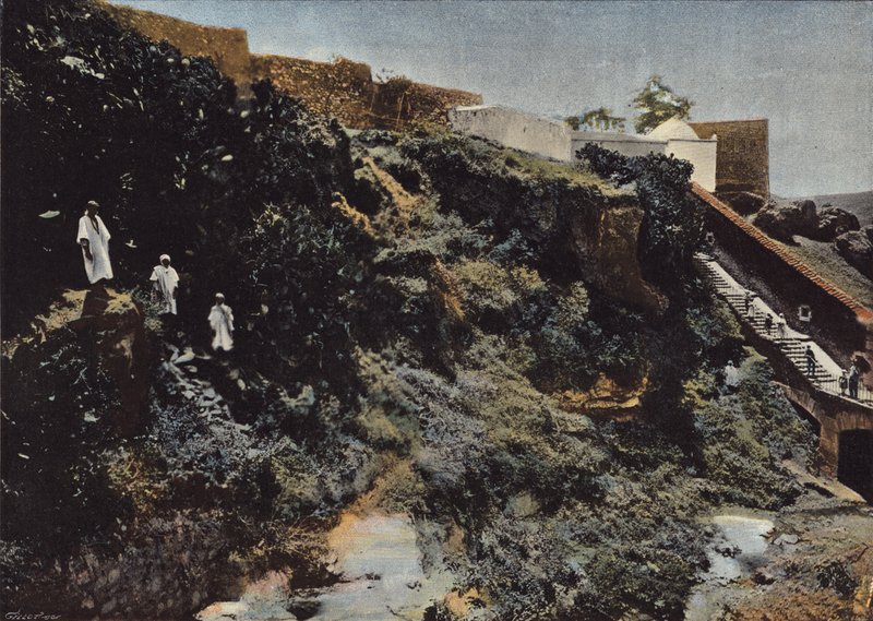 A Ravina De LOued-Toudman, Uma Rímel de European Photographer