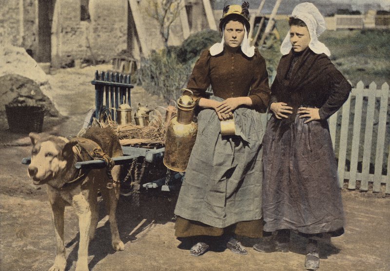 Comerciante De Leite Em Antuérpia de European Photographer