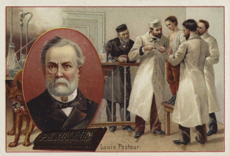 Louis Pasteur, químico e microbiologista francês de European School