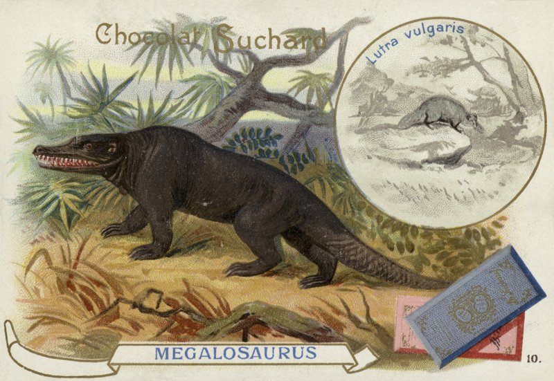Megalossauro e Lontra de European School