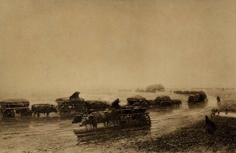 Pista de carroça de boi em Mariupol, 1875 de European School