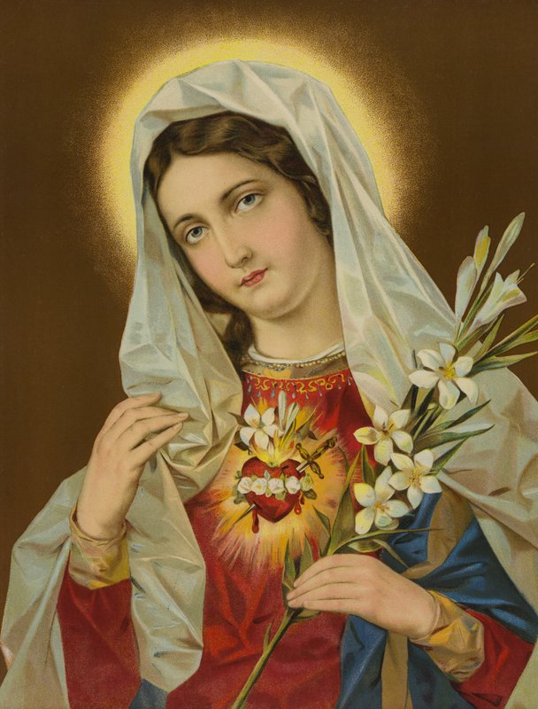 Sagrado Coração da Virgem Maria de European School