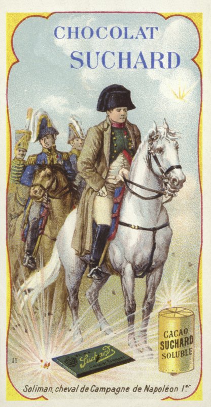 Soliman, cavalo de guerra de Napoleão de European School