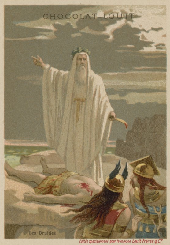 Os druidas de European School