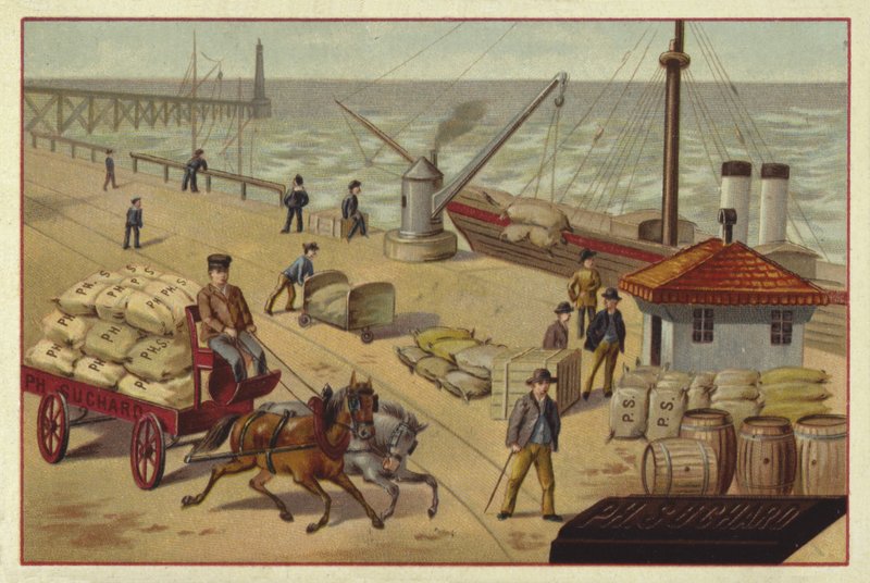 Transporte de cacau de European School