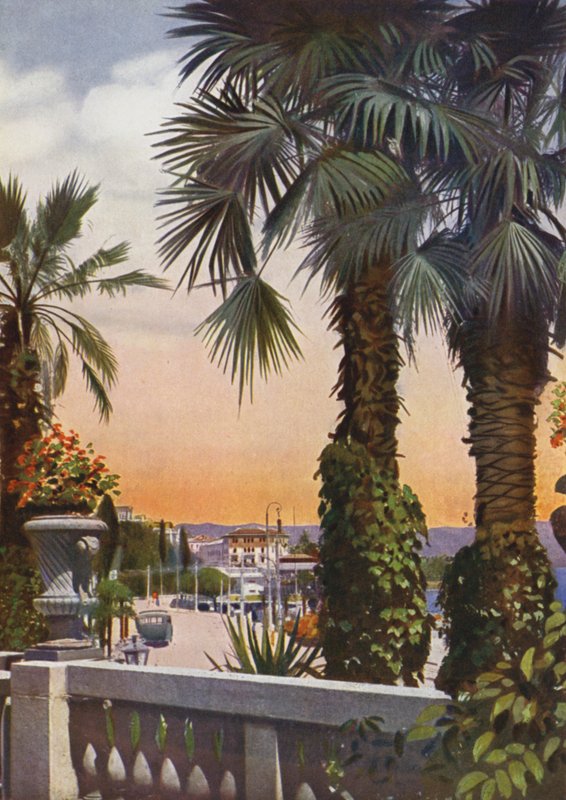 Opatija, agora Opatija na Croácia: Vista das palmeiras do Bellevue Hotel (foto) de European Photographer