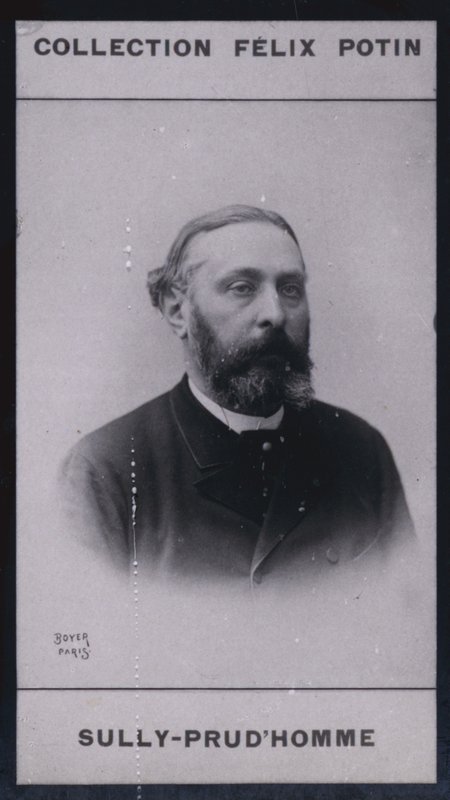Armand Sully Prudhomme (1839) (foto a p/b) de European Photographer