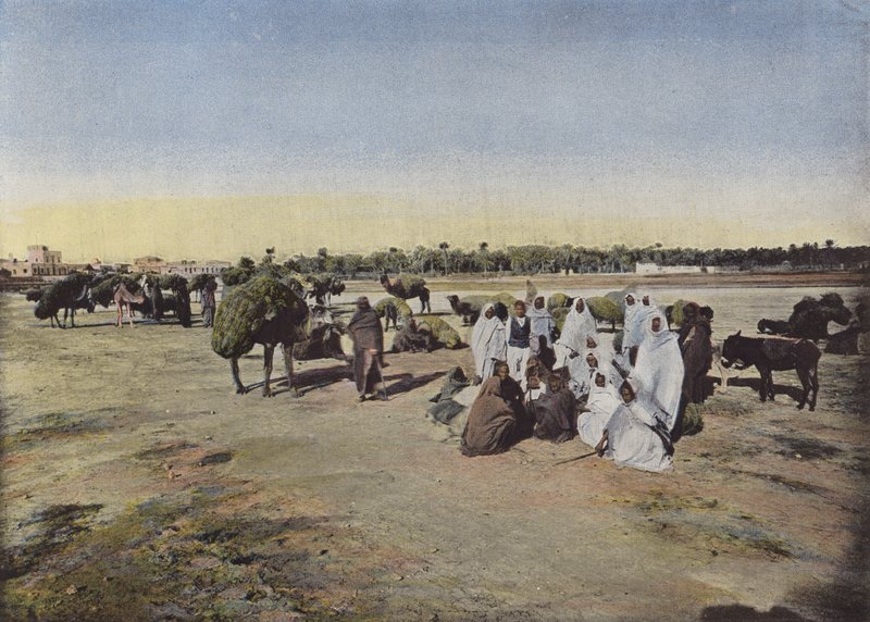 Caravana Trazendo De LAlfa de European Photographer
