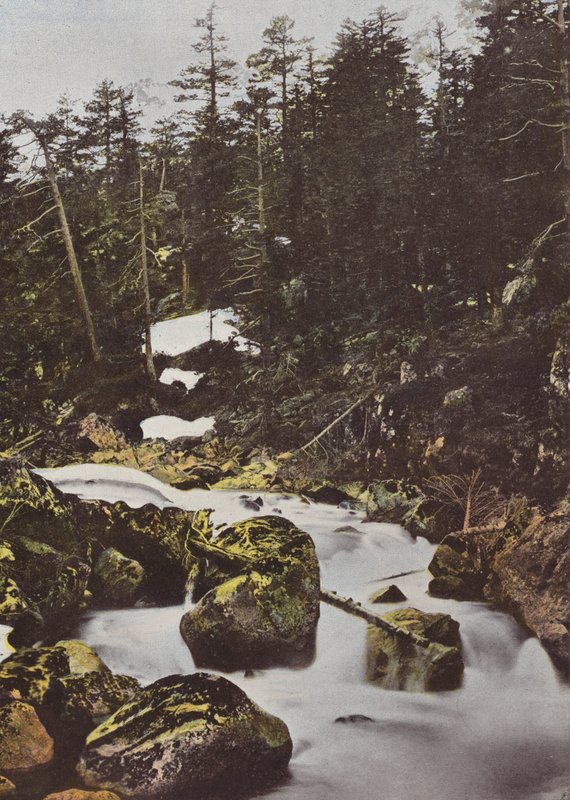 Cauterets, ponte superior, outono, de, espanha de European Photographer