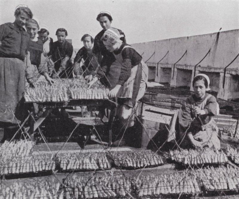 Secagem da sardinha (foto a p/b) de European Photographer