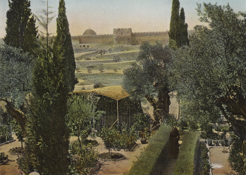 Jardim do Getsêmani de European Photographer