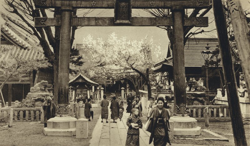 Japão, Rua em Tóquio, tempo de flor de cerejeira (foto a p/b) de European Photographer