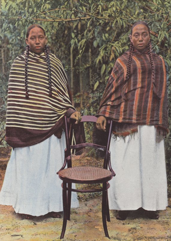 Meninas jovens hovas de European Photographer