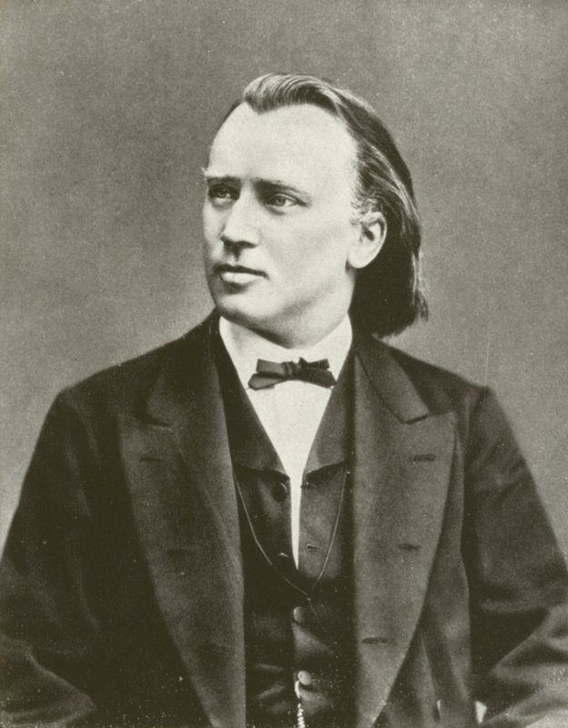 Johannes Brahms, retrato, c 1876 (foto p/b) de European Photographer