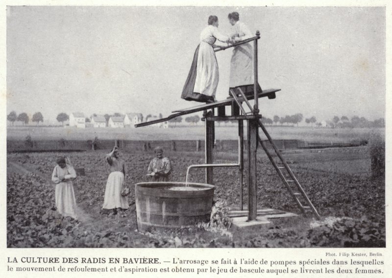 Growing Radishes in Bavaria (foto a p/b) de European Photographer