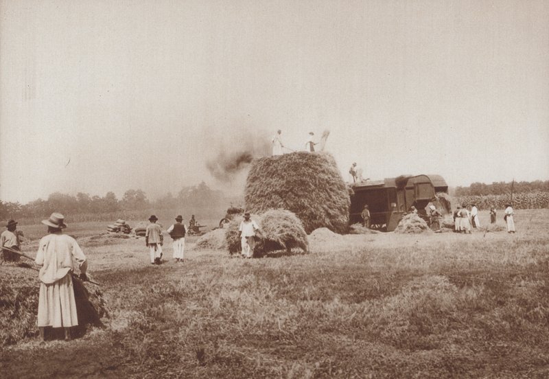 Threshing wheat on the Alfold, the plains of Hungary (foto a p/b) de European Photographer