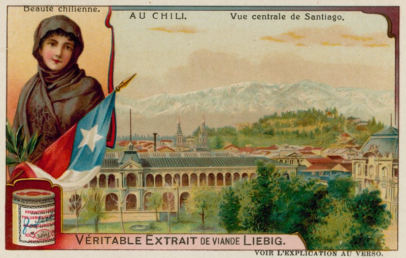 Uma beleza chilena e vista do centro de Santiago de European School